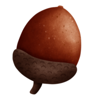Cute and simple single acorn png