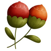 accogliente rosso autunno erba fiore pianta png