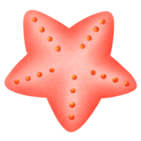 Cute pink starfish png