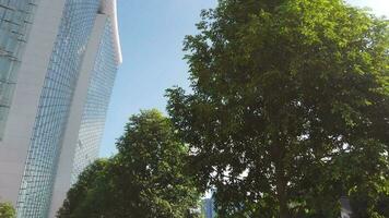 ein Baum im Vorderseite von Yachthafen Bucht Sand Singapur video
