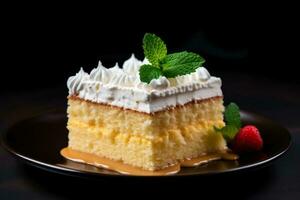 Delicious Tres Leches Cake dark background with empty space for text photo