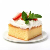 Delicious Tres Leches Cake isolated on white background photo