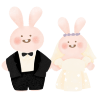 Rabbit bunny in wedding suit Wedding day couple love png