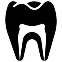 tooth anatomy vector glyph icon