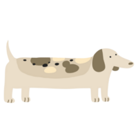 Dackel Hund Karikatur glücklich Tier png