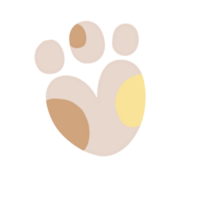 Paw calico cat animal foot png