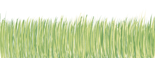 groen gras achtergrond png