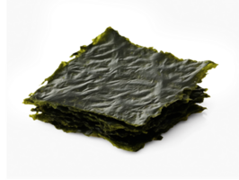 Sheet of dried seaweed isolated on transparent background, png