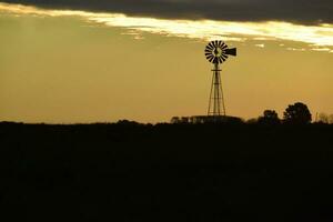 Landscape with windmill at sunset, Pampas, Patagonia,Argentina photo