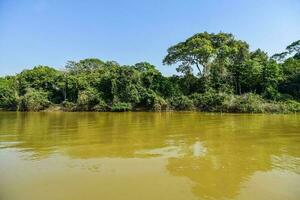 río paisaje y selva,pantanal, Brasil foto