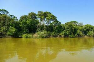 río paisaje y selva,pantanal, Brasil foto