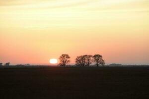 Rural sunset landscape, Buenos Aires province , Argentina photo