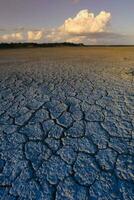 Broken dry soil in a Pampas lagoon, La Pampa province, Patagonia, Argentina. photo