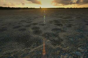 Broken dry soil in a Pampas lagoon, La Pampa province, Patagonia, Argentina. photo