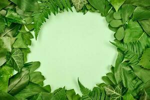 marco de círculo de hojas verdes con espacio de copia vacío blanco en el centro, vista superior plana foto