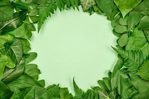 Green leaves circle frame with white empty copy space in center, flat lay top view photo