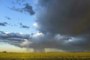 Stormy sky due to rain in the Argentine countryside, La Pampa province, Patagonia, Argentina. photo