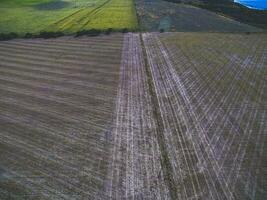 Coutryside planted with the direct sowing method, Pampas,Argentina photo