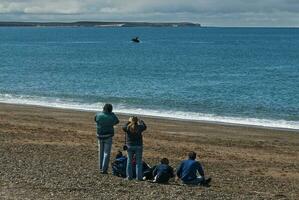 Tourists watching whales, observation from the coast photo