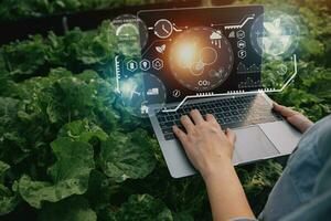 Smart farmer using application by tablet concepts modern vegetables and gardening lettuce at greenhouse. and visual icon. photo