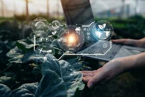 Smart farmer using application by tablet concepts modern vegetables and gardening lettuce at greenhouse. and visual icon. photo