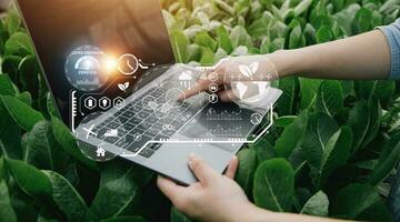 Smart farmer using application by tablet concepts modern vegetables and gardening lettuce at greenhouse. and visual icon. photo