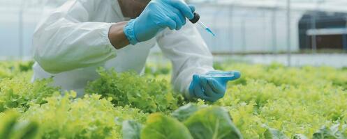 asiático mujer granjero utilizando digital tableta en vegetal jardín a invernadero, negocio agricultura tecnología concepto, calidad inteligente agricultor. foto