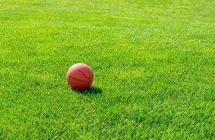 A ball on the green grass photo