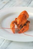 Dish of boiled crayfish with sauce photo