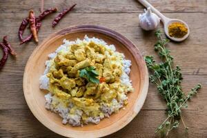 Indian chicken curry with white rice photo