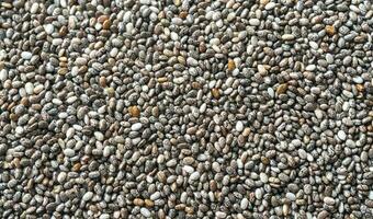 Chia seeds top view photo