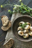 Bowl of cooked snails photo