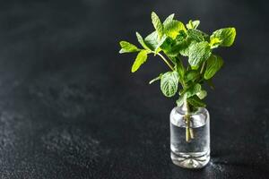 Bunch of fresh mint in the glass vase photo