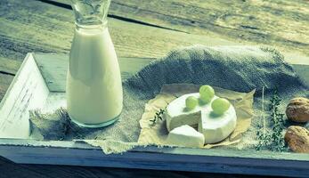 Camembert with pitcher of milk and whole nuts photo