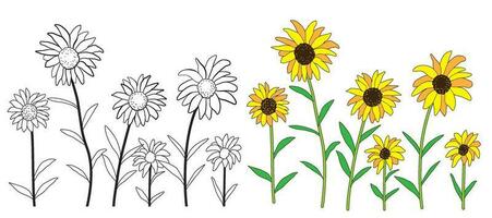 Sunflower doodle set, including line drawing and flat coloring. vector
