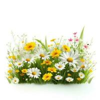 Spring grass and flowers background photo