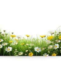 Spring grass and flowers background photo