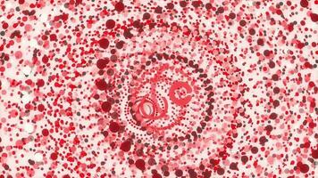 rood schattig circulaire kleurrijk aantrekkelijk achtergrond. mooi hoor cirkels overlappen indrukwekkend ontwerp. zoet gekleurde ringen beweging animatie. lief kleur rondes energiek actie creatief achtergrond. video