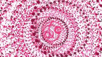 Red pink nice circles overlap impressive design. Sweet colored rings motion animation. Lovely color rounds energetic action creative background. Cute circular colorful attractive backdrop. video