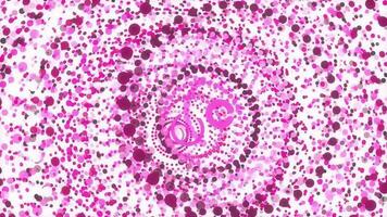 Pink cute circular colorful attractive backdrop. Nice circles overlap impressive design. Sweet colored rings motion animation. Lovely color rounds energetic action creative background. video