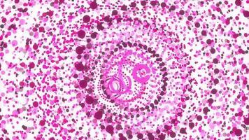 Pink cute circular colorful attractive backdrop. Nice circles overlap impressive design. Sweet colored rings motion animation. Lovely color rounds energetic action creative background. video