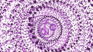 Purple sweet colored rings motion animation. Lovely color rounds energetic action creative background. Cute circular colorful attractive backdrop. Nice circles overlap impressive design. video