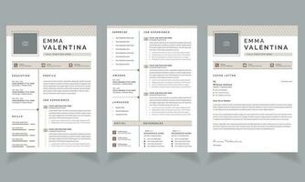 Professional Resume Layout with Cv Design Template vector