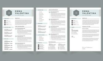 Resume Layout with Gray Hader CV Design Template vector