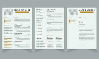 Clean and Professional Resume Layout with Vector Design