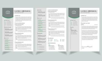 Professional Graphics Designer Resume  and Cover Letter Layout Set vector