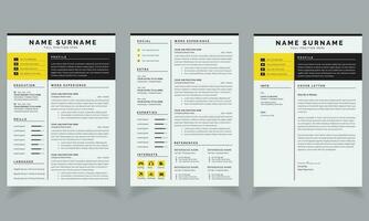 Clean Resume Cv Template  Design Layout vector