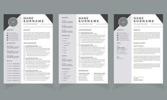 Clean and Professional Resume Page Set vector