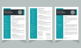 Creative Resume Templates Layout Cv Design vector