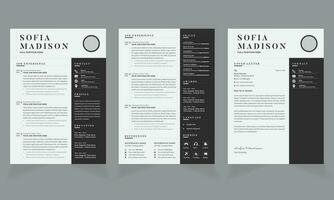 Modern Black and Whtie Resume Layout cv Design vector